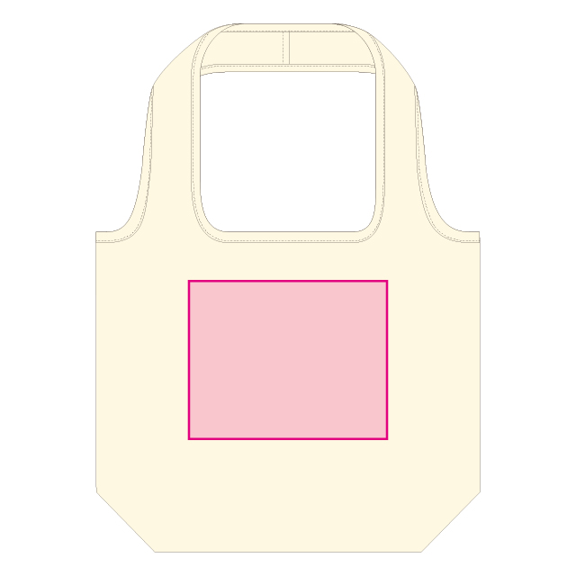 大 250×200mm