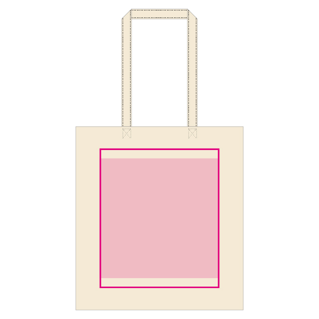 大　300×300mm
